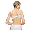 soytien triumph amourette wp leyko extra photo 1