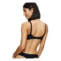 soytien triumph amourette wp mayro extra photo 1