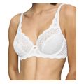 soytien triumph amourette w leyko 70g extra photo 2
