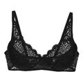 soytien triumph amourette n mayro extra photo 4