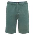 bermoyda funky buddha chino fbm011 001 03 prasino extra photo 4