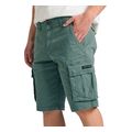 bermoyda funky buddha cargo fbm011 002 03 mineral prasino 30 extra photo 2