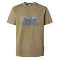 t shirt pepe jeans dalter pm509780 726 prasino extra photo 3