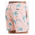magio boxer quiksilver everyday straight volley 15 eqyjv04121 roz extra photo 4