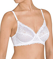 soytien triumph compliment w leyko 85c photo soytien triumph compliment w leyko 85c photo