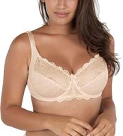 soytien dorina philippa curves d15006a b60 mpez photo