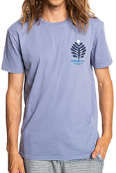t shirt quiksilver promote the stoke eqyzt06702 mob photo