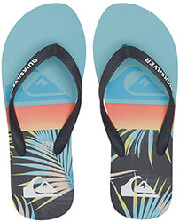 sagionares quiksilver molokai panel aqyl101263 mple photo