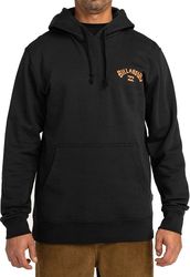 hoodie billabong arch wave po f1ho08bif2 mayro m photo