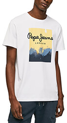 t shirt pepe jeans roslyn pm508713 leyko photo