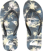 sagionares quiksilver molokai air flow aqyl101318 xksk mayro photo
