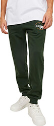 panteloni formas jack jones jpstgordon jjmikk 12236876 skoyro prasino s photo