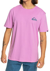 t shirt quiksilver mw mini logo eqyzt07657 mob photo