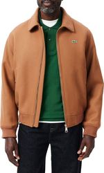 tzaket lacoste bh2888 six kafe photo