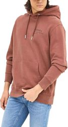 hoodie superdry core logo city m2013723a 4pz kafe photo