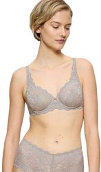 soytien triumph amourette w anoixto gkri photo soytien triumph amourette w anoixto gkri photo