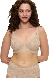 soytien triumph amourette w mpez 80d photo