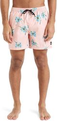 magio boxer quiksilver everyday straight volley 15 eqyjv04121 roz photo