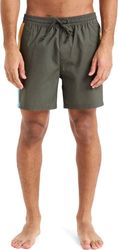 magio boxer quiksilver everyday holmes volley 16 eqyjv04136 xaki photo