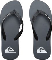 sagionares quiksilver molokai core aqyl101325 syj1 skoyro gkri photo