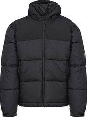 mpoyfan nautica n7s03389 011 mayro photo