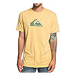 t shirt quiksilver m and w eqyzt05262 kitrino photo