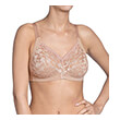 soytien triumph delicate doreen n mpez 110e photo