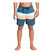 boxer quiksilver seasons 17 eqyjv03557 mple photo