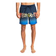 boxer quiksilver wordblock volley 17 eqyjv03859 mple skoyro photo