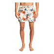 boxer quiksilver everyday garden path volley 15 eqyjv03867 roz polyxromo photo