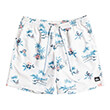 boxer quiksilver everyday scenic volley 15 eqyjv03901 leyko photo