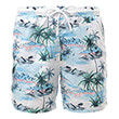 boxer nautica n1f00038 908 polyxromo photo