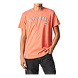 T-SHIRT PEPE JEANS ALESSIO PM508256 ��������� (S)