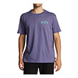 t shirt billabong arch fill abyzt01696 mob photo