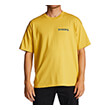 T-SHIRT BILLABONG HARMONY ABYZT01749 ������� (S)