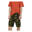 bermoyda quiksilver crucial battle cargo eqyws03848 camo xaki photo