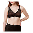 soytien triumph signature sheer pex mayro photo