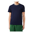 t shirt lacoste pique stripe collar th8174 166 skoyro mple photo