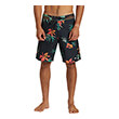 magio bermoyda quiksilver highline arch 19 aqybs03627 mayro photo