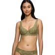 soytien triumph amourette whp ladi photo