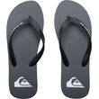 sagionares quiksilver molokai core aqyl101325 syj1 skoyro gkri photo