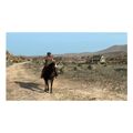 red dead redemption and undead nightmare extra photo 2