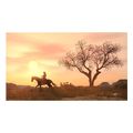 red dead redemption and undead nightmare extra photo 6
