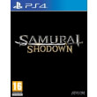samurai shodown photo
