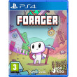 forager photo forager photo
