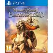 mount blade ii bannerlord photo