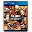 fatal fury city of the wolves special edition photo