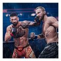 ea sports ufc 6 extra photo 1 ea sports ufc 6 extra photo 1