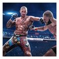 ea sports ufc 6 extra photo 3 ea sports ufc 6 extra photo 3