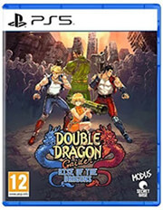 double dragon gaiden rise of the dragons photo